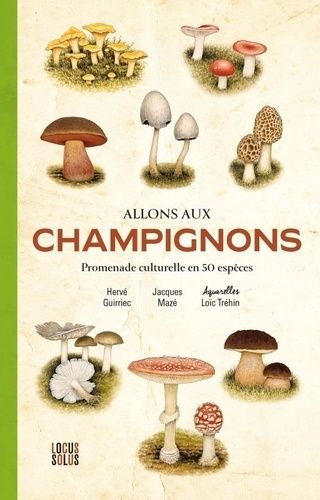 Emprunter Allons aux champignons. Promenade culturelle en 50 espèces livre