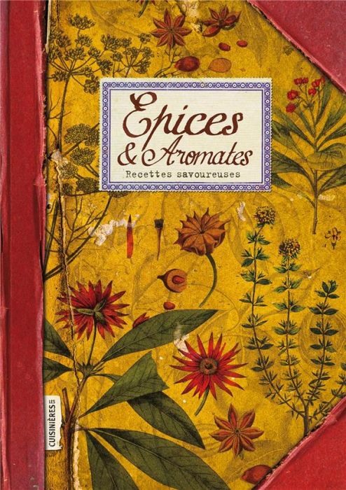 Emprunter Epices & Aromates. Recettes savoureuses livre