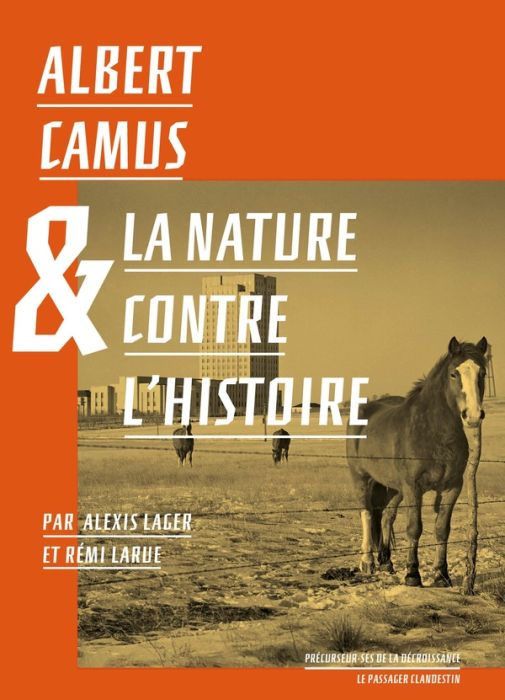 Emprunter Albert Camus et la nature contre l'histoire livre