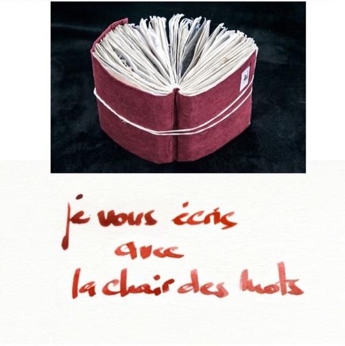 Emprunter Je vous écris avec la chair des mots livre