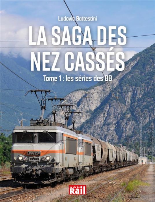 Emprunter La saga des nez cassés. Tome 1, Les séries BB livre