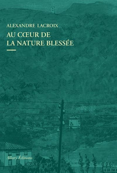 Emprunter Au coeur de la nature blessée. Apprendre à voir les paysages du XXIe siècle livre