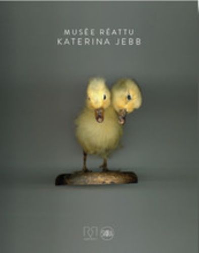 Emprunter Katerina Jebb. Musée Réattu, Edition bilingue français-anglais livre