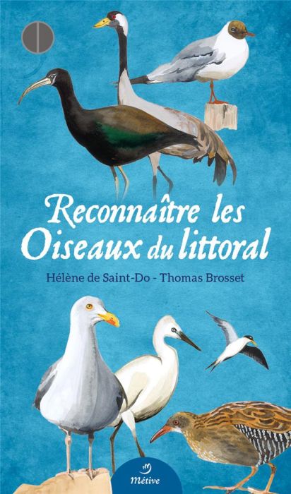 Emprunter Reconnaître les oiseaux du littoral. Avec 54 fiches livre