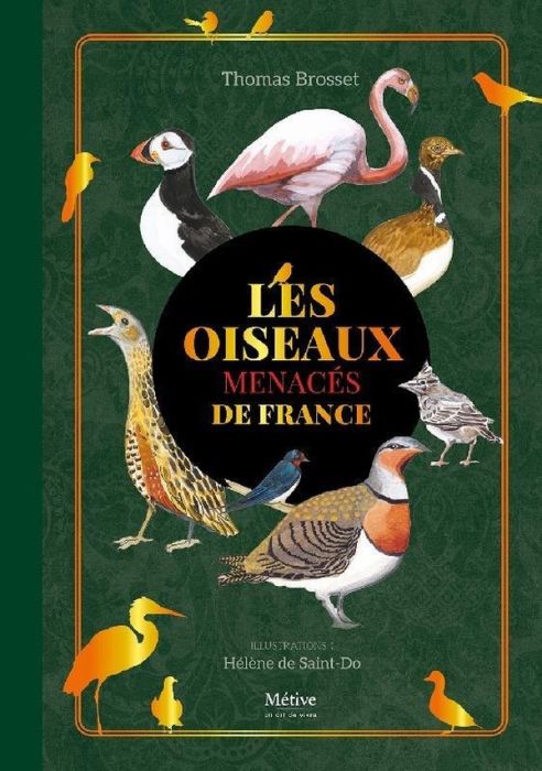 Emprunter Les oiseaux menacés de France livre