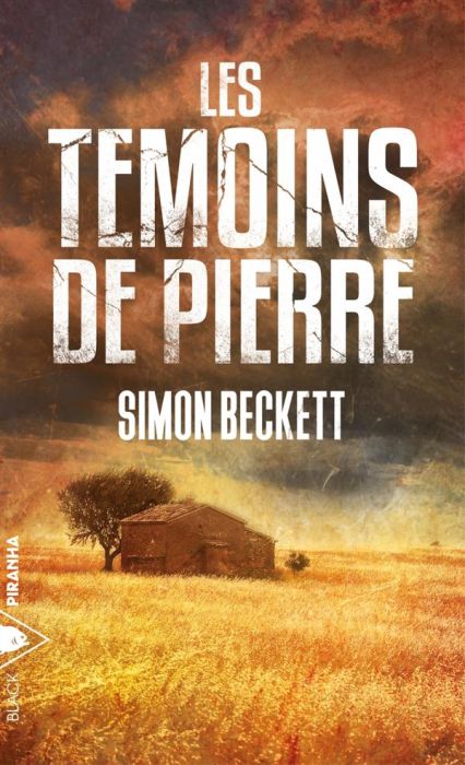 Emprunter Les témoins de pierre livre