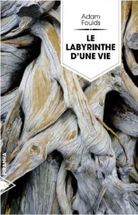 Emprunter Le labyrinthe d'une vie livre