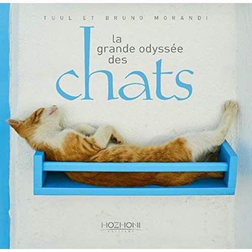 Emprunter La grande odyssée des chats livre