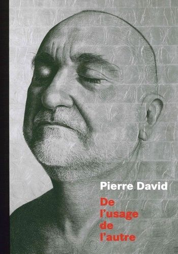 Emprunter Pierre David. De l'usage de l'autre livre