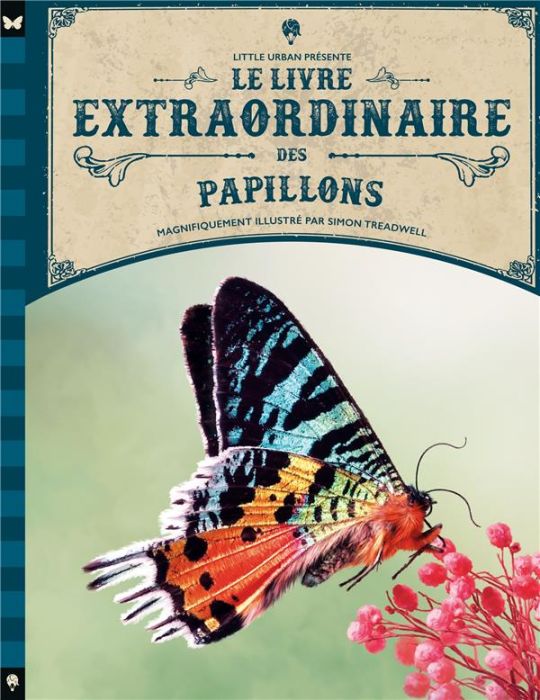 Emprunter Le livre extraordinaire des papillons livre