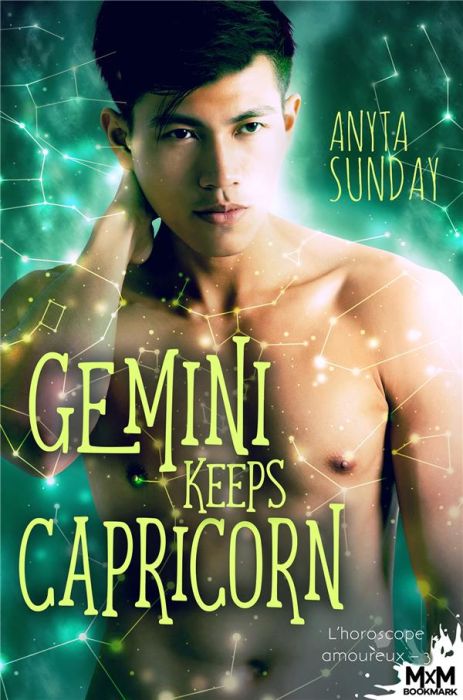 Emprunter Gemini Keeps Capricorn. L'horoscope amoureux, T3 livre