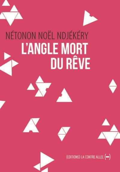 Emprunter L'Angle mort du rêve livre