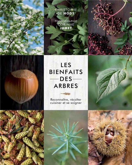 Emprunter Les bienfaits des arbres. Reconnaître, récolter, cuisiner et se soigner livre