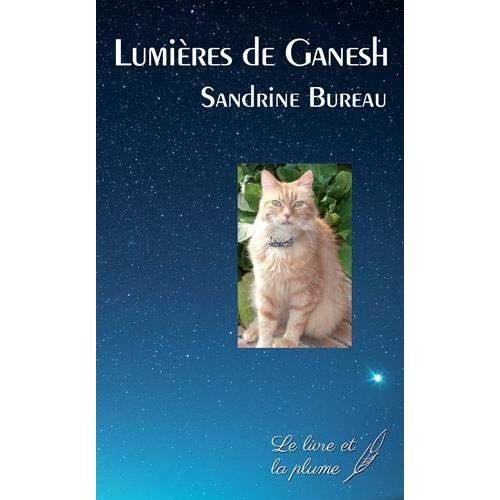 Emprunter Lumières de Ganesh livre