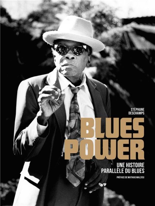 Emprunter Blues power. Une histoire parallèle du blues livre