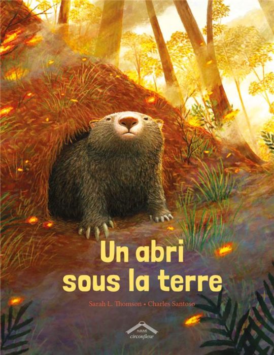 Emprunter Un abri sous la terre livre