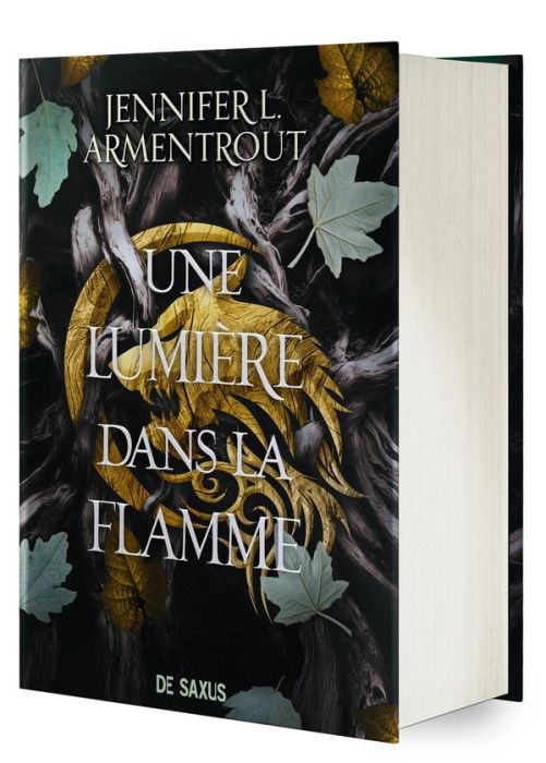 Emprunter Une lumière dans la flamme Tome 2 : La Chair et le Feu. Edition collector livre