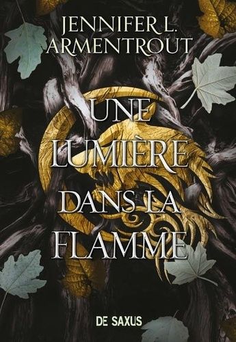 Emprunter Une lumière dans la flamme Tome 2 : La Chair et le Feu livre