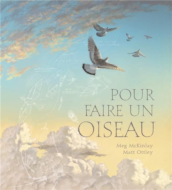 Emprunter Pour faire un oiseau livre