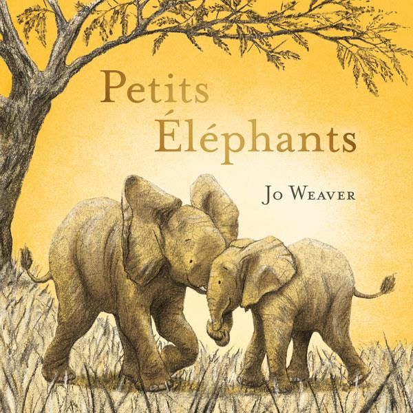 Emprunter Petits éléphants livre