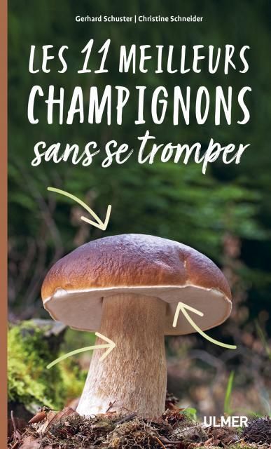 Emprunter Les 11 meilleurs champignons sans se tromper livre