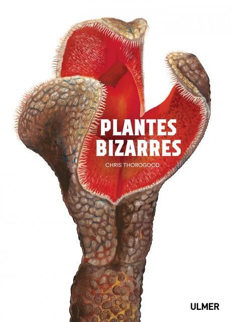 Emprunter Plantes bizarres livre