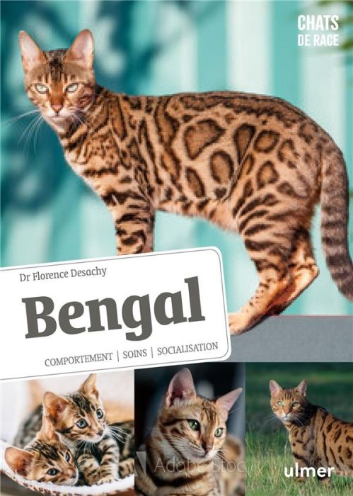 Emprunter Bengal. Comportement, soins, socialisation livre