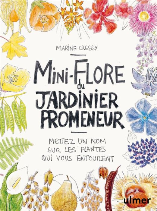 Emprunter Mini-Flore du jardinier promeneur. Mettez un nom sur les plantes qui vous entourent livre