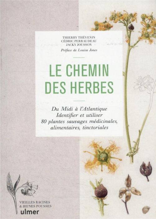 Emprunter Le chemin des herbes. Du Midi à l'Atlantique, identifier et utiliser 80 plantes sauvages médicinales livre