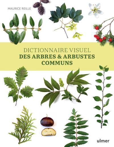 Emprunter Dictionnaire visuel des arbres & arbustes communs livre