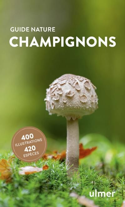 Emprunter Champignons livre