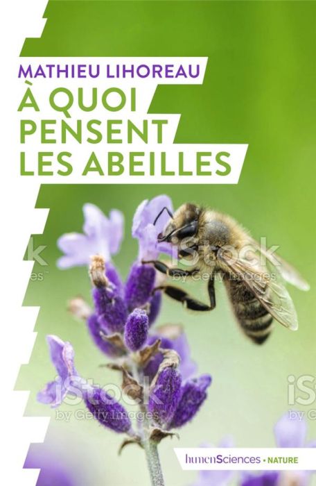 Emprunter A quoi pensent les abeilles ? livre