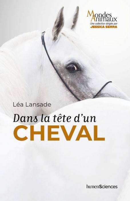 Emprunter Dans la tête d'un cheval livre