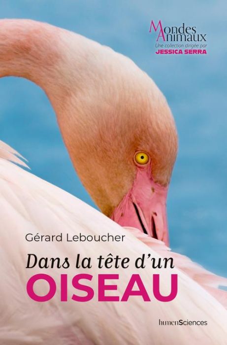 Emprunter Dans la tête d'un oiseau livre