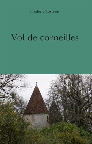 Emprunter Vol de corneilles livre