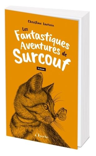 Emprunter Les fantastiques aventures de Surcouf livre