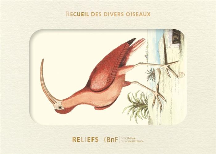 Emprunter Livre d'images - Recueil de divers oiseaux livre