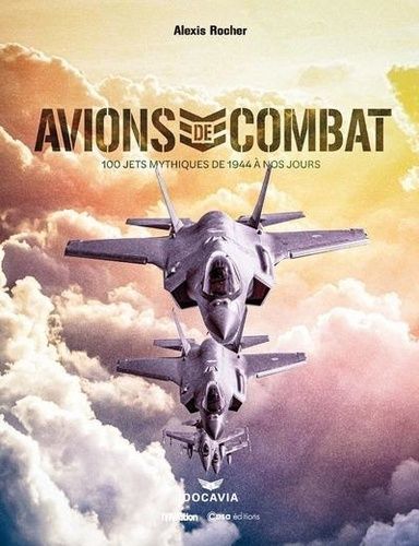 Emprunter Avions de combat. 100 jets mythiques de 1944 à nos jours livre