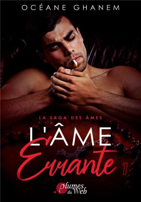 Emprunter La saga des âmes : L'âme errante. Tome 1 livre