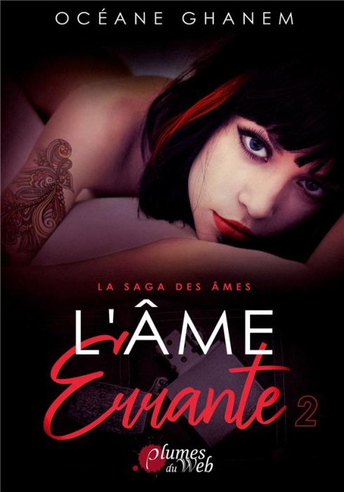 Emprunter La saga des âmes : L'âme errante. Tome 2 livre