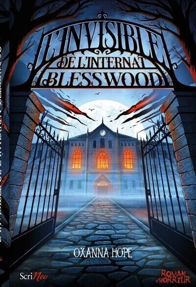 Emprunter L'invisible de l'internat Blesswood livre