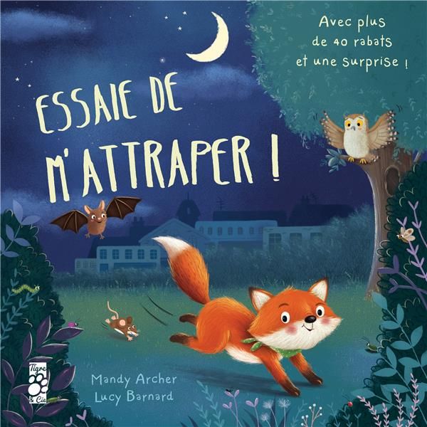 Emprunter Essaie de m'attraper ! Avec plus de 40 rabats et une surprise ! livre