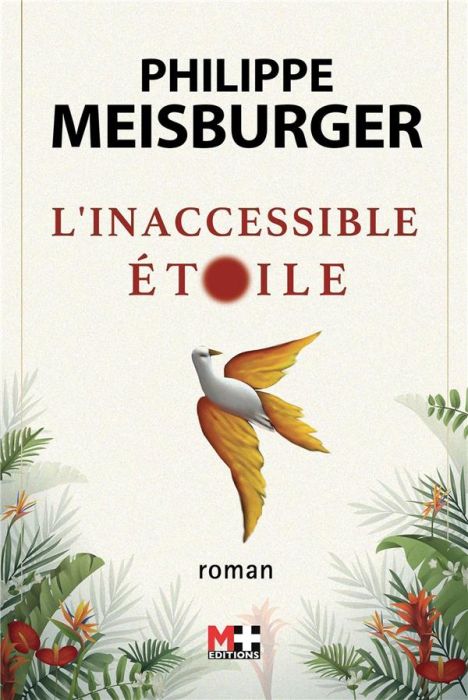 Emprunter L'inaccessible étoile livre