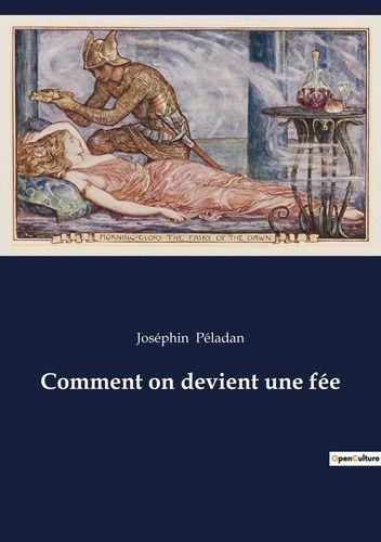 Emprunter Comment on devient une fée livre