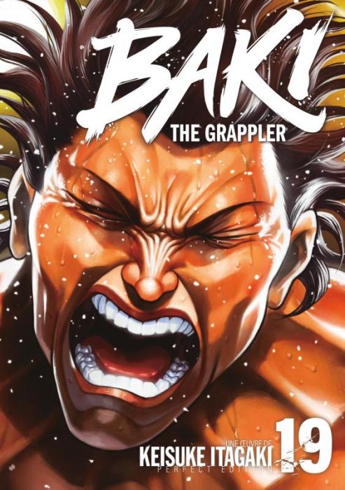 Emprunter Baki the Grappler - Perfect Edition Tome 19 livre