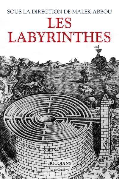 Emprunter Les labyrinthes livre