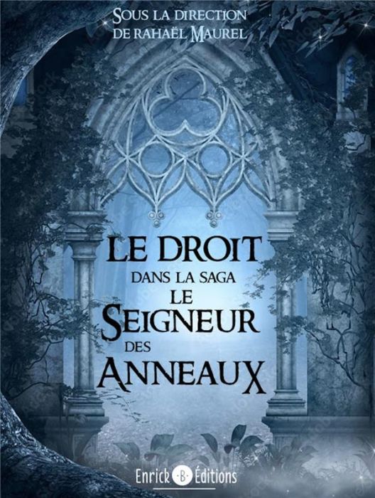 Emprunter Le droit dans la saga Le Seigneur des Anneaux livre