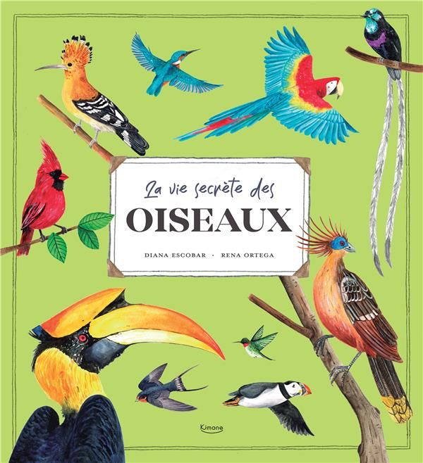 Emprunter La vie secrète des oiseaux livre