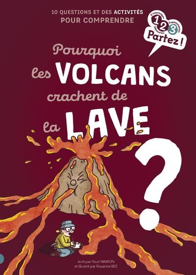 Emprunter Pourquoi les volcans crachent de la lave ? livre