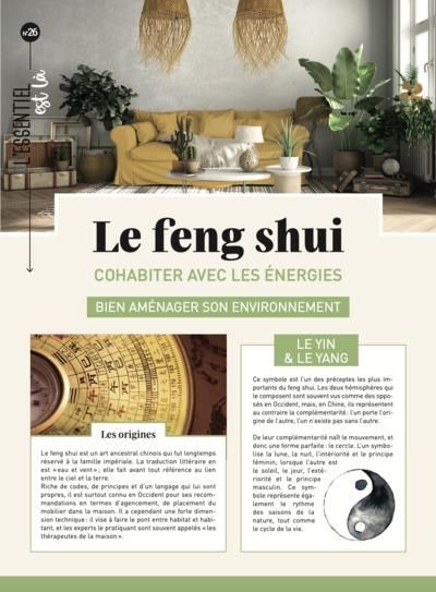 Emprunter Le feng shui. Cohabiter avec les énergies livre